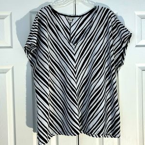 Women’s V-Neck Dana Buchman Top